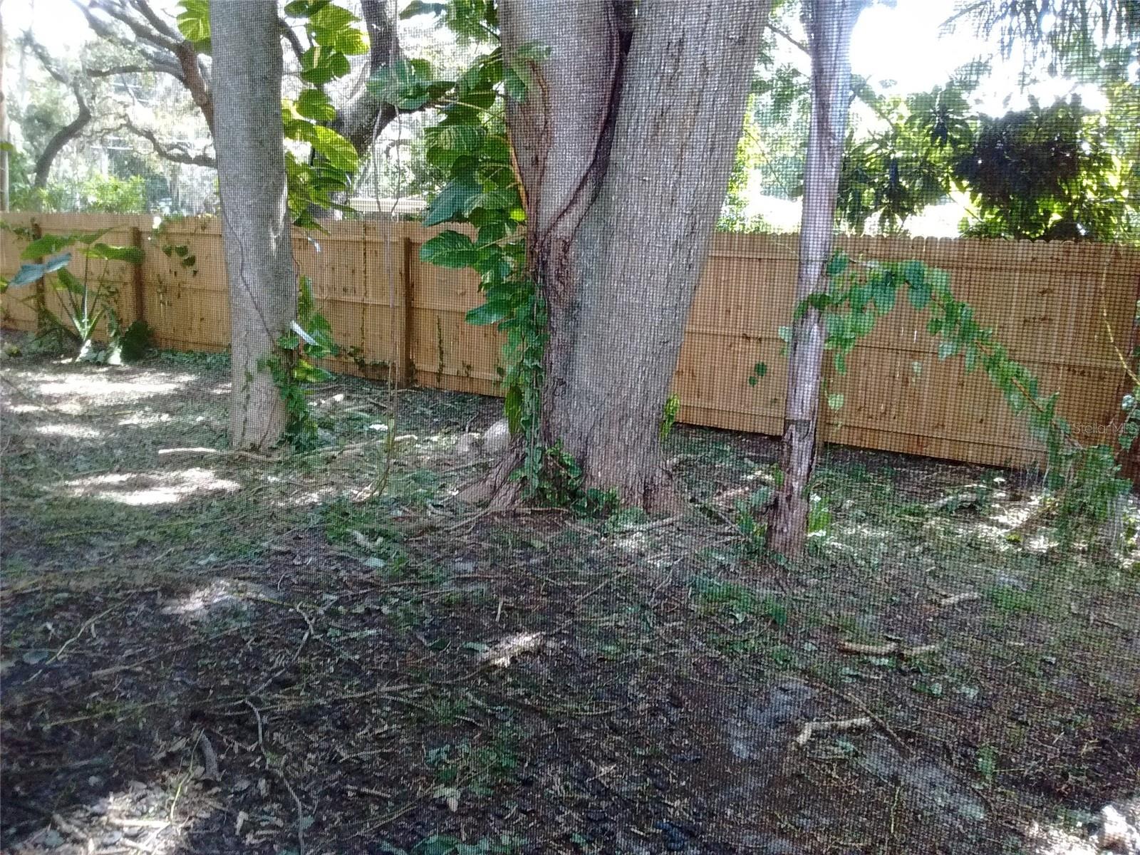 CIMARRON GROVES - Residential