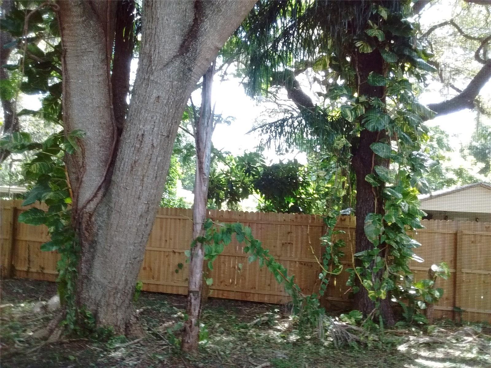 CIMARRON GROVES - Residential