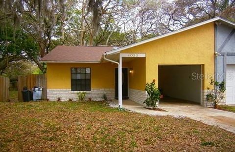 Photo of 4033 Anna Drive, Apopka, FL 32703 (MLS # O6403111)