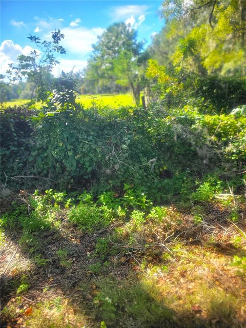 TBA 43RD PL NEWBERRY FL 32669