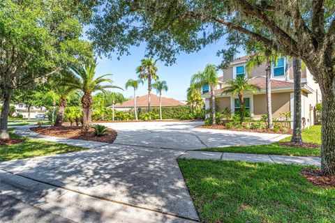 A home in TAMPA