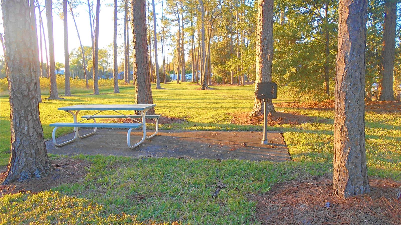 INTERNATIONAL BASS LAKE RESORT PH 01 - Residential