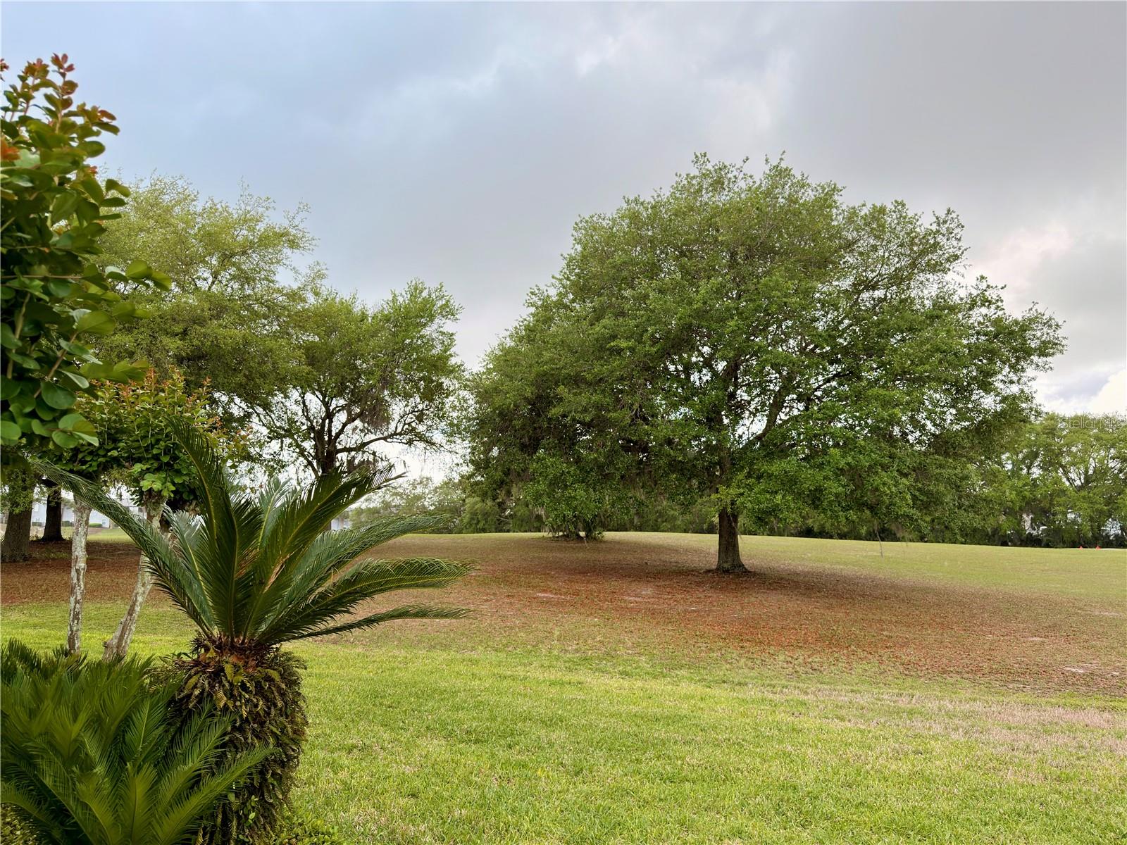 STRATTON HILL - Residential