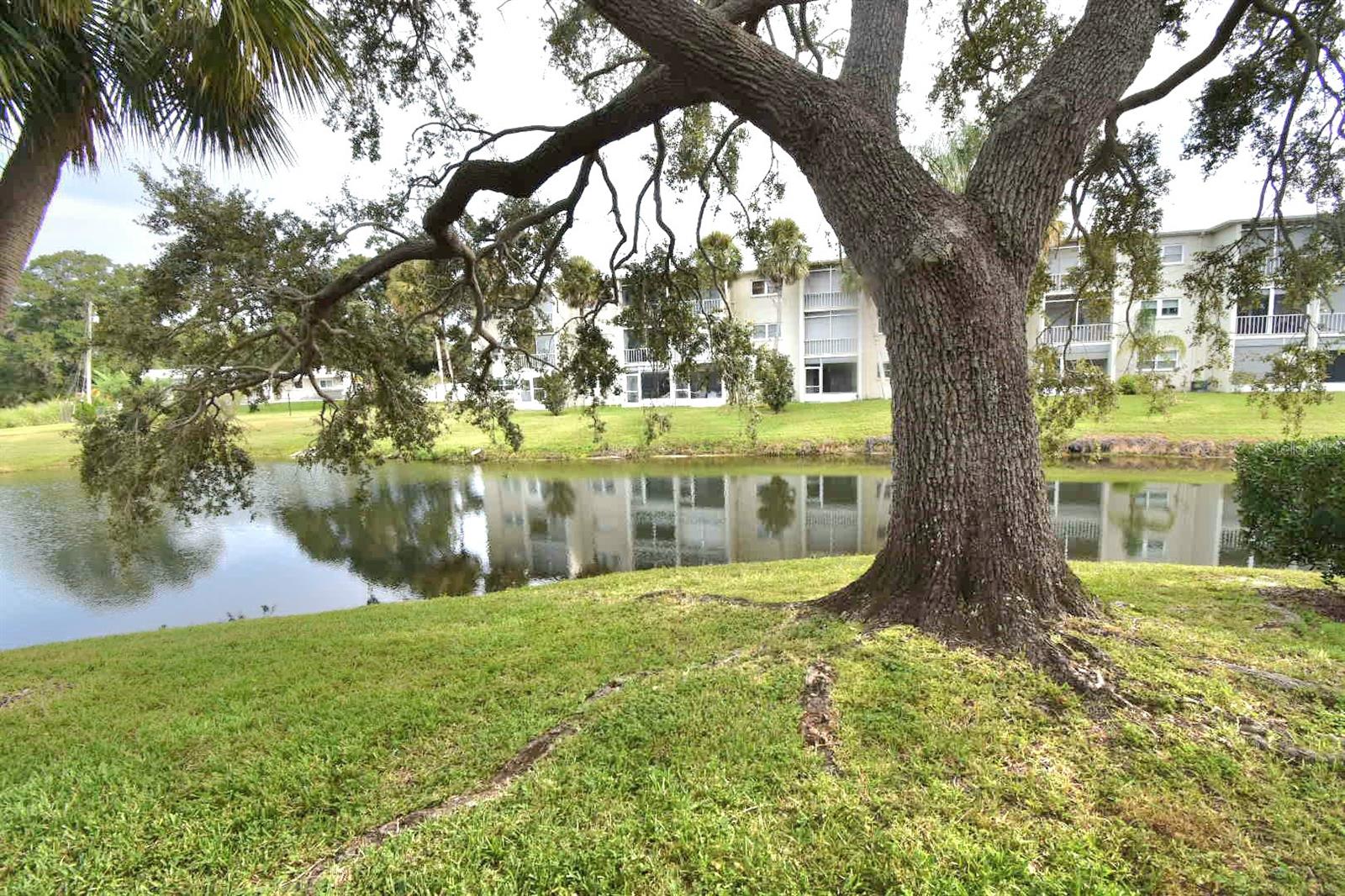HEATHER LAKE APTS CONDO - Residential