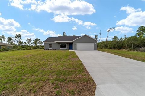 A home in OCKLAWAHA