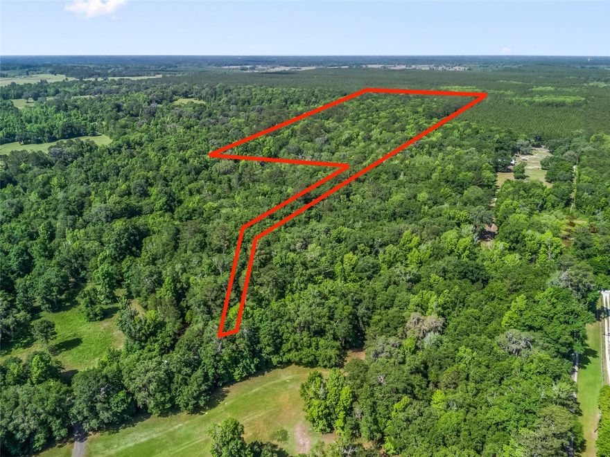 Discover the perfect blank canvas nestled between Ocala and Gainesville—40 acres of uncleared land in beautiful Micanopy, FL. Zoned A1, this versatile property is ideal for your dream farm, private estate, or hunting retreat. Surrounded by nature and teeming with potential, this land offers privacy, space, and freedom to create your vision. Whether you’re looking to build, explore, or invest, this property delivers rural charm with convenience.