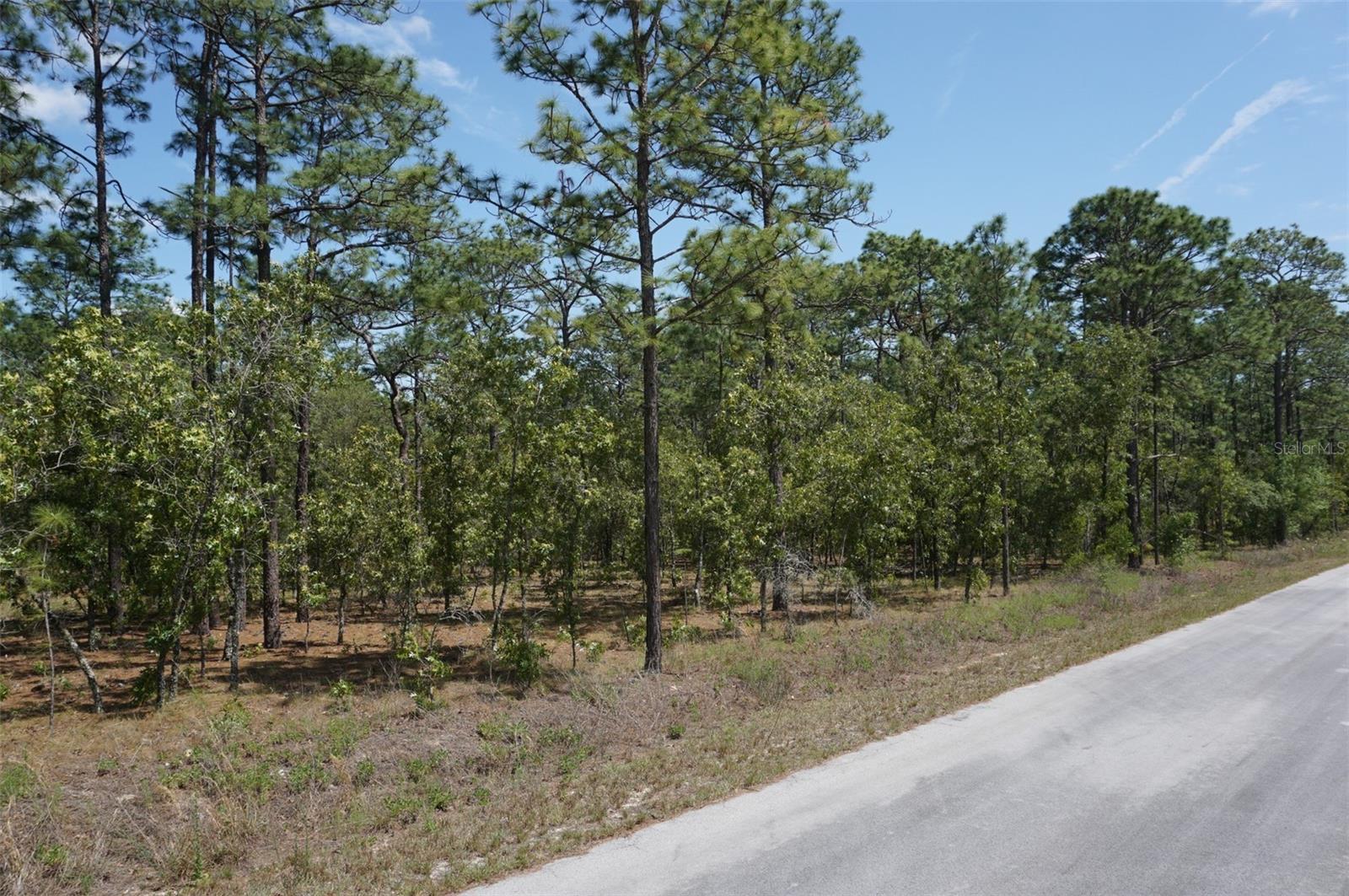 RAINBOW LAKES ESTATES - Land