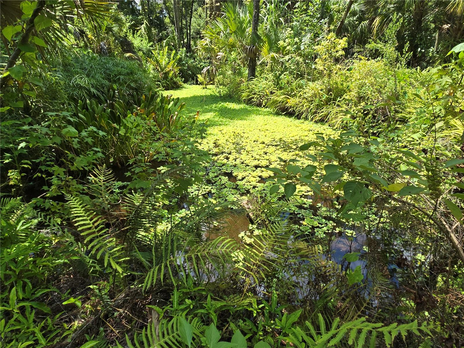 WEKIVA HIGHLANDS - Land