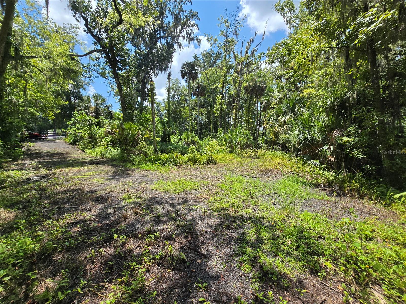 WEKIVA HIGHLANDS - Land