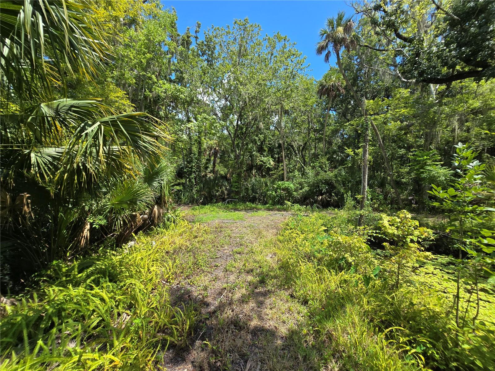 WEKIVA HIGHLANDS - Land