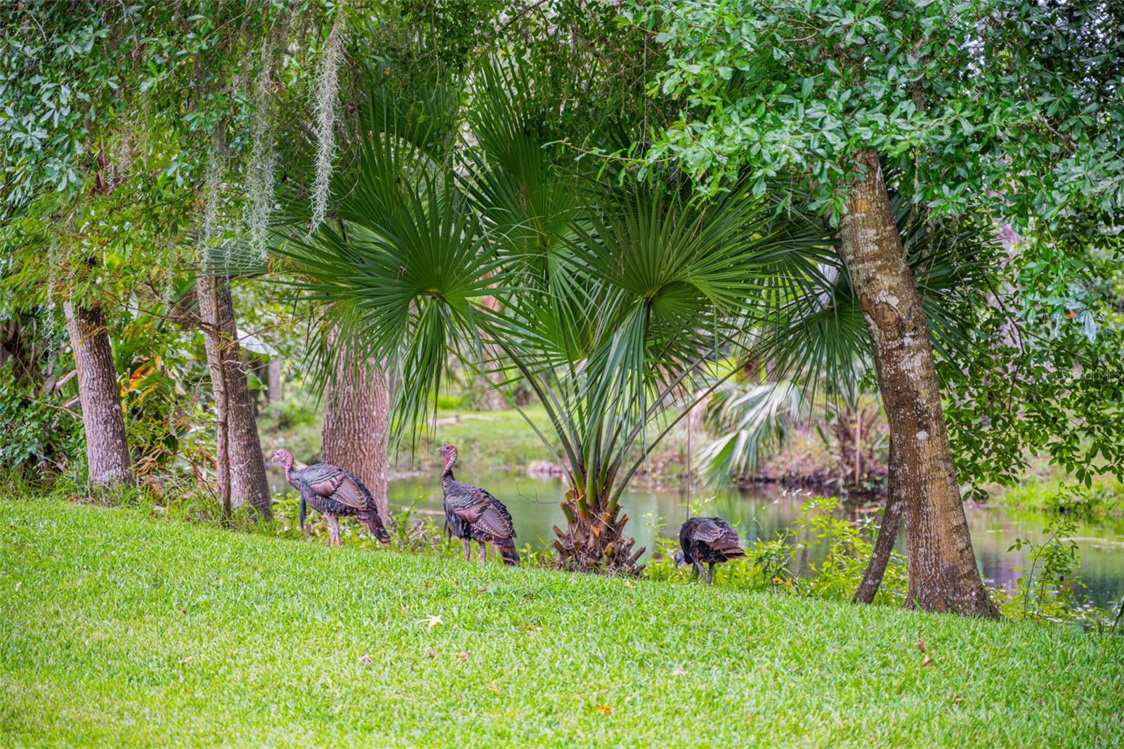 SWEETWATER SPRINGS - Residential