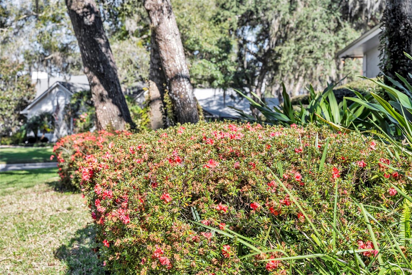 SWEETWATER SPRINGS - Residential