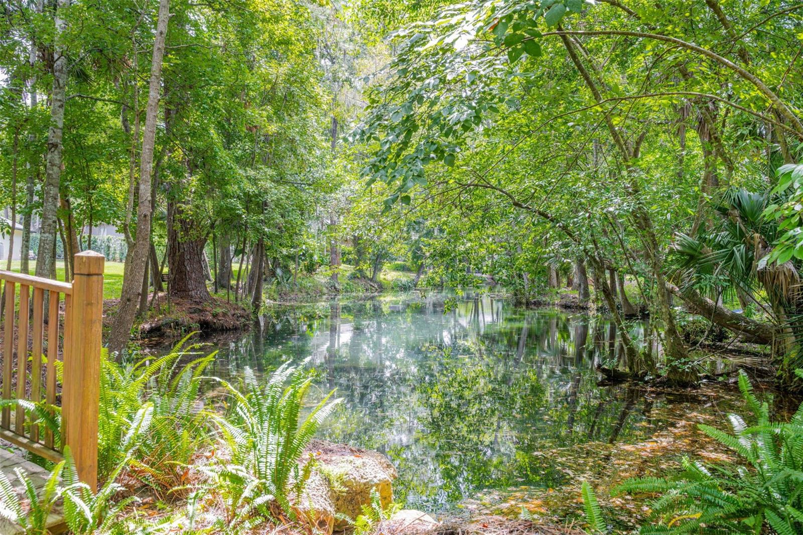 SWEETWATER SPRINGS - Residential