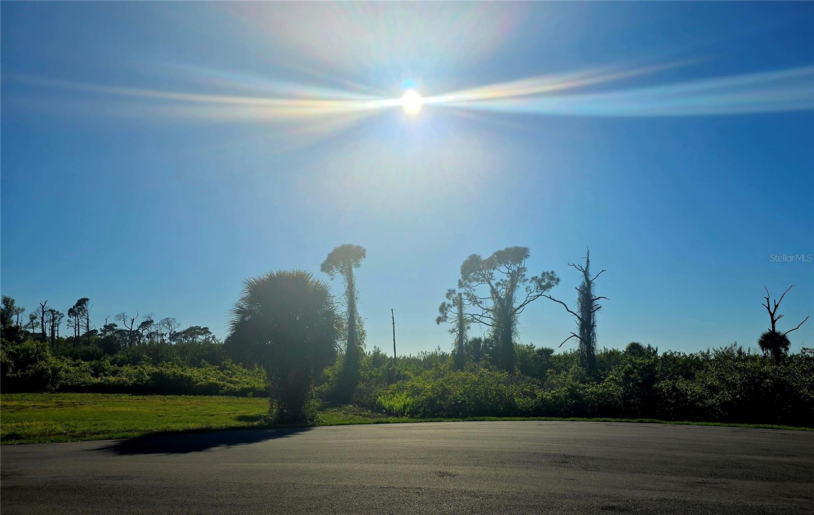 ROTONDA WEST PINE VALLEY - Land