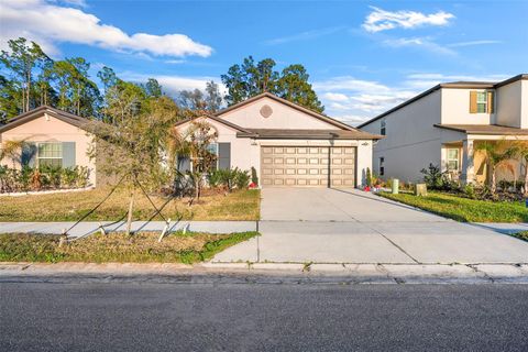 Photo of 1839 Yellow Trail, Lakeland, FL 33801 (MLS # O6387752)