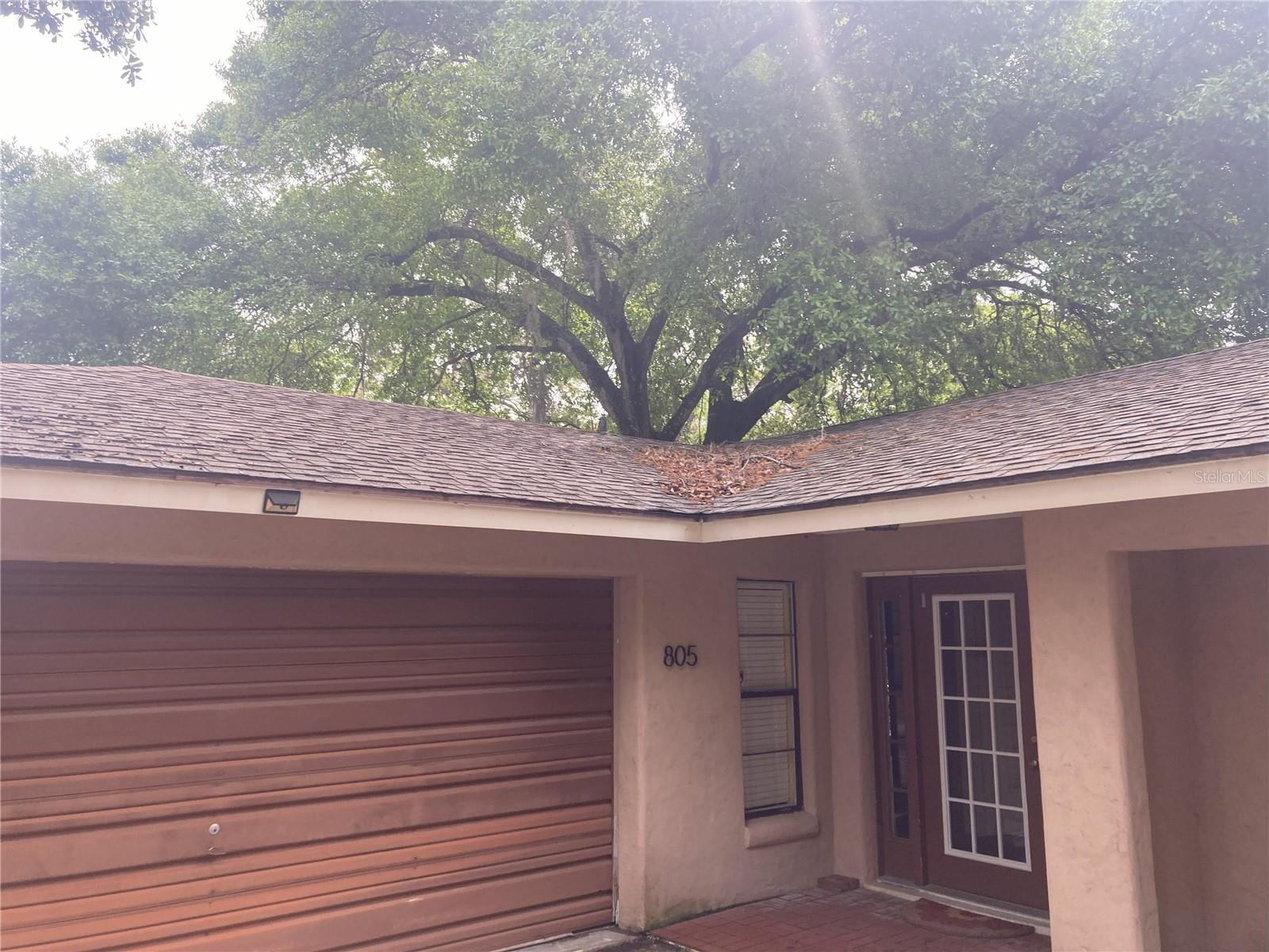 WINDERMERE TOWN - Residential Lease