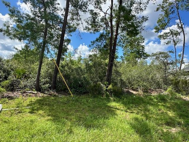 Build your new home on this spacious lot located in Marion Oaks in Ocala, Florida! This lot is situated among well-maintained new construction homes on a quiet street. Bring your dream to life while enjoying its convenient location to schools, restaurants and shopping, all while living the quiet suburban lifestyle. This lot has a water connection that will need connecting, as well as the addition of a septic system. Enjoy this R-1 location with no HOA! Don't miss this great opportunity!