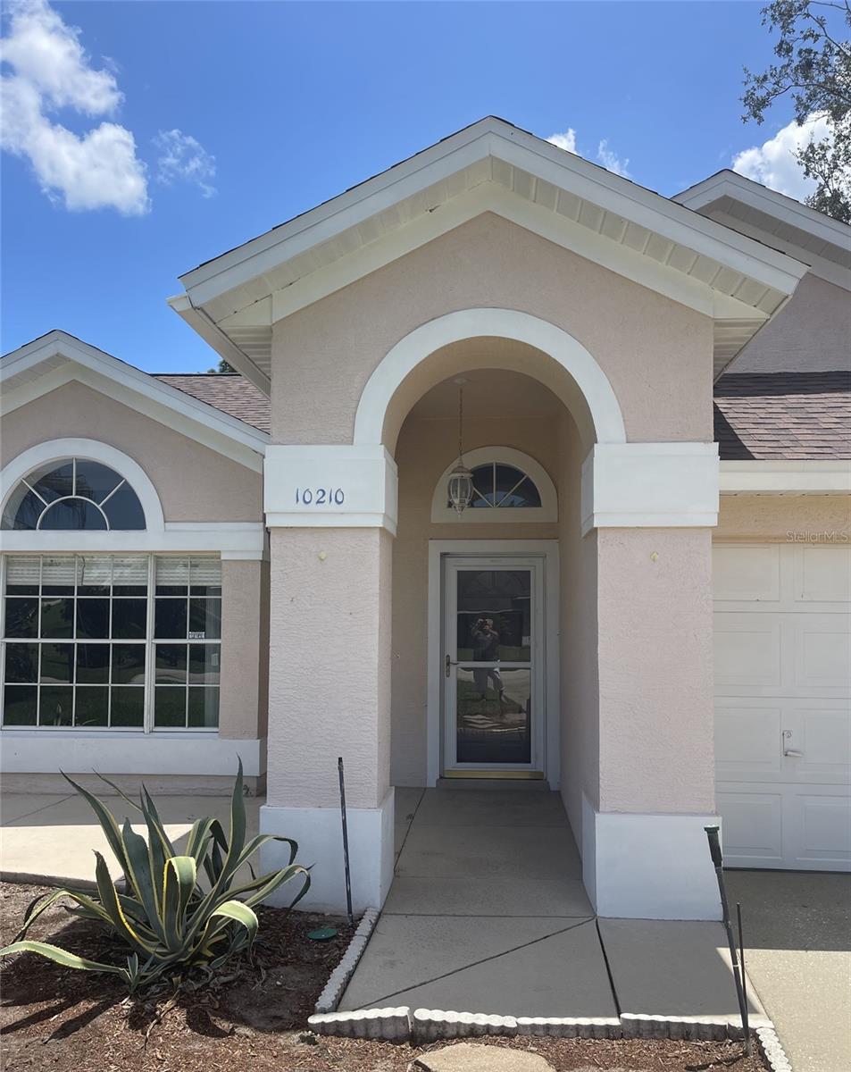 10210 SILVER BLUFF DRIVE