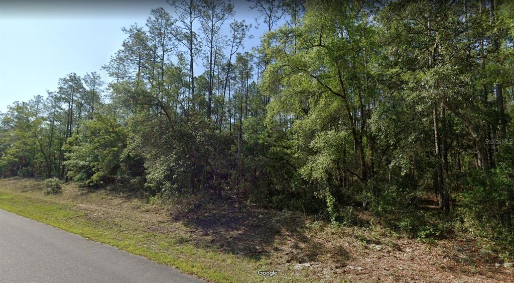 Photo of 546 E Bimini Drive, Dunnellon, FL 34434 (MLS # OM725330)
