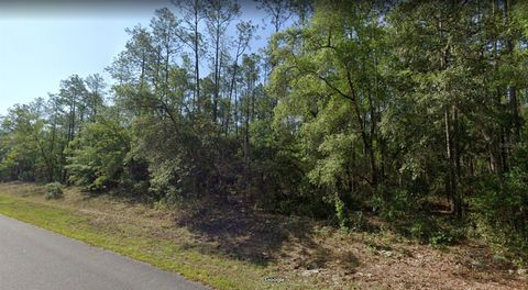Photo of 546 E Bimini Drive, Dunnellon, FL 34434 (MLS # OM725330)