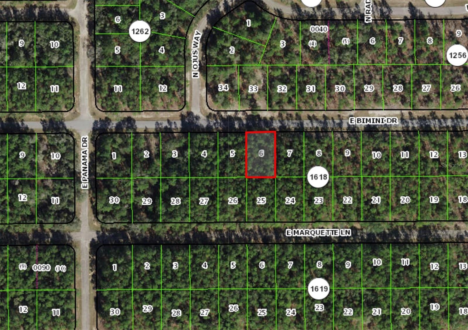 546 E BIMINI DRIVE