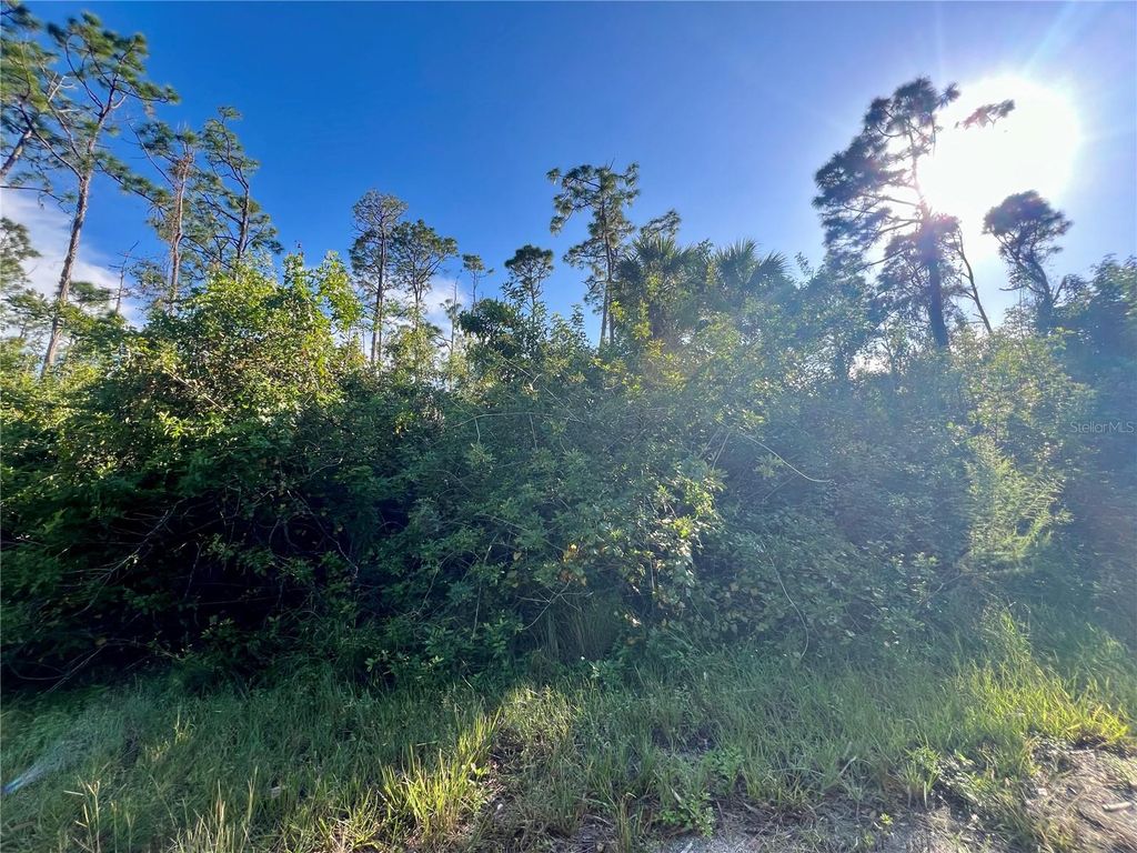 Photo of Jubilee Circle, North Port, FL 34288 (MLS # C7522362)