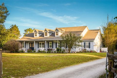 Photo of 19802 Peabody Street, Orlando, FL 32833 (MLS # O6406242)