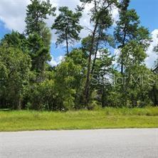 Wonderful, Level Lot And Great Price For Almost A Third Acre Lot In Sugarmill Woods Oak Village. Very Convenient To Suncoast Parkway, Near Shopping And Tampa Airport.