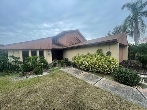 A home in LAKELAND