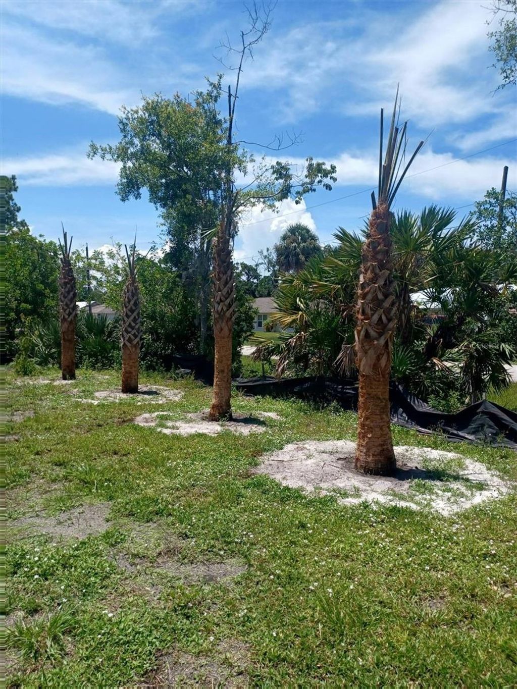 Photo of Lin Gina Terrace, Edgewater, FL 32141 (MLS # TB8466149)