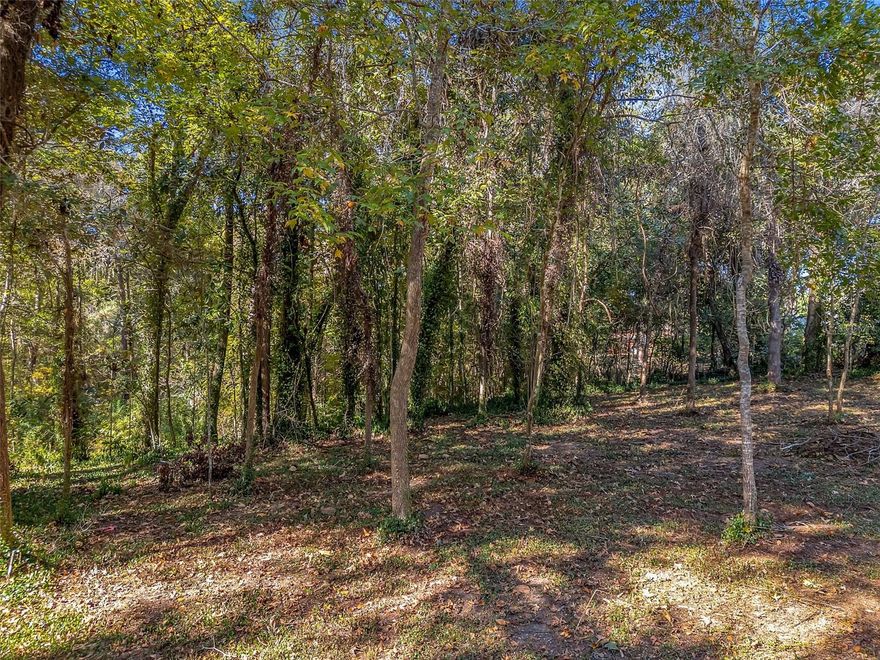 Located on a quiet cul-de-sac, this 0.36-acre lot is partially cleared and ready for construction. The back of the property features a natural ravine with a spring head below, an unusual and desirable feature that sets this lot apart from typical Florida properties. A great opportunity to build your custom home in a unique natural setting.