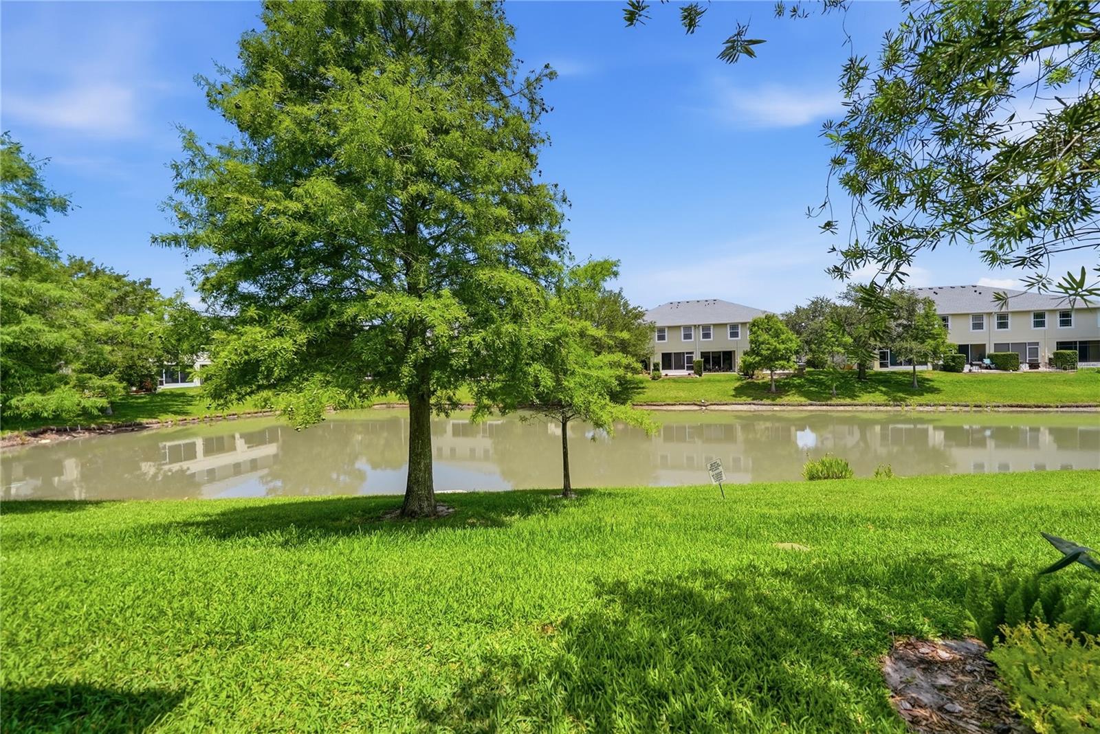 HARBOR RIDGE OF PALM HARBOR - Residential