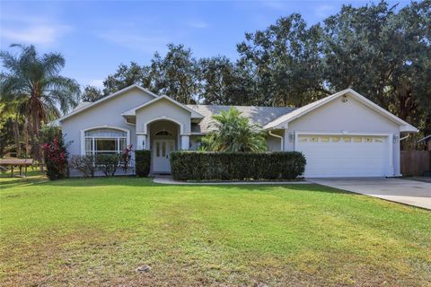 Photo of 4410 Rummell Road, Saint Cloud, FL 34769 (MLS # S5135594)