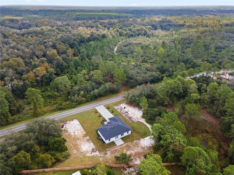 A home in EUSTIS