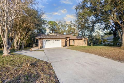 Photo of 3039 Etta Circle, Deltona, FL 32738 (MLS # V4946385)
