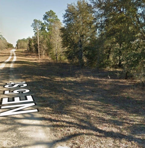 Tiny photo for NE 5th Street, Williston, FL 32696 (MLS # A4710728)
