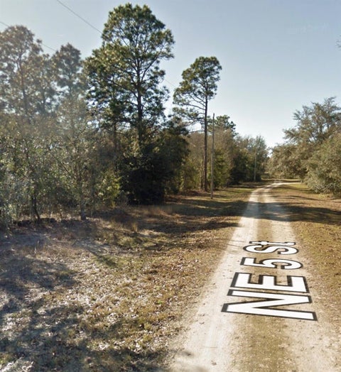 Tiny photo for NE 5th Street, Williston, FL 32696 (MLS # A4710728)