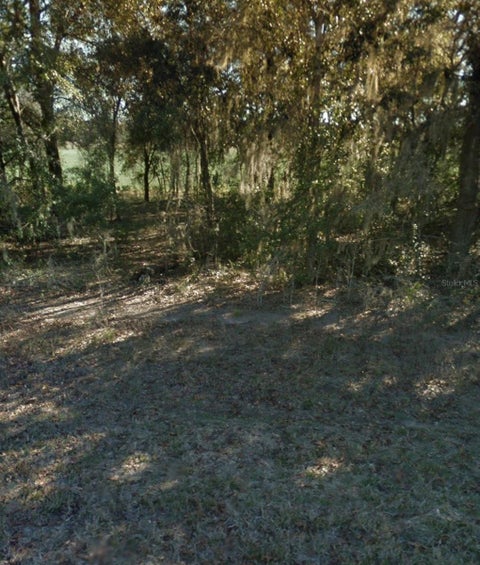 Tiny photo for NE 5th Street, Williston, FL 32696 (MLS # A4710728)
