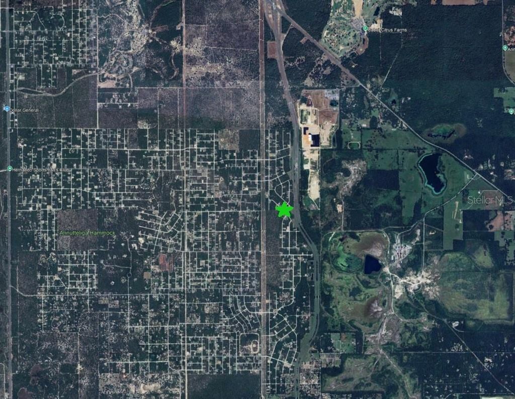 Photo of 15470 Cave Swallow Road, Brooksville, FL 34614 (MLS # O6402531)