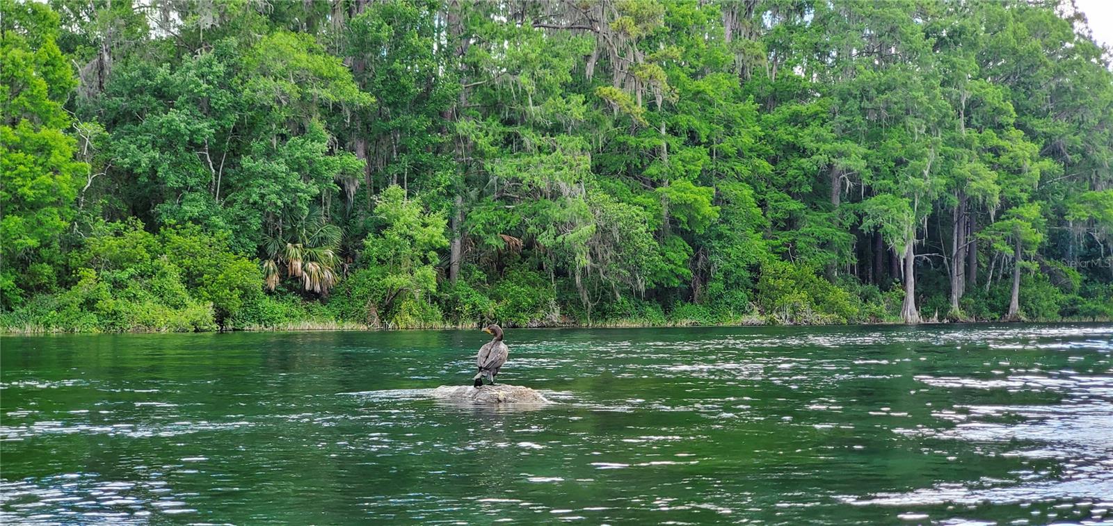 RAINBOW SPGS COUNTRY CLUB ESTATE - Residential