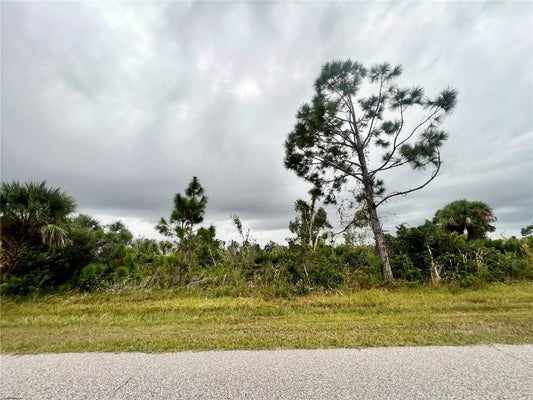 12113 SNOW BIRD AVE, PORT CHARLOTTE, FL 33981 - Image 21f1f47cf8531343b6a5d457e03b3fc0/3858517153
