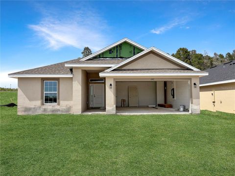 Photo of 247 Verny Grove Lane, Leesburg, FL 34748 (MLS # O6400801)