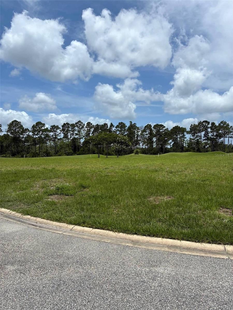 CONSERVATORY HAMMOCK BEACH - Land