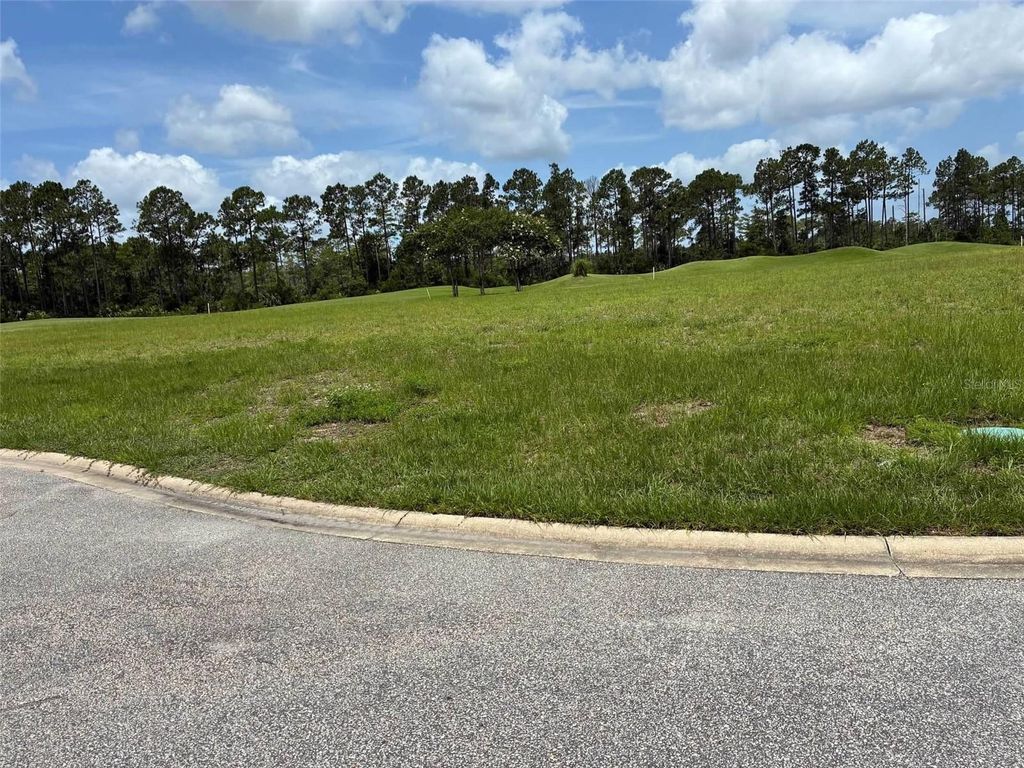 Photo of 406 Bourganville Drive, Palm Coast, FL 32137 (MLS # FC314668)