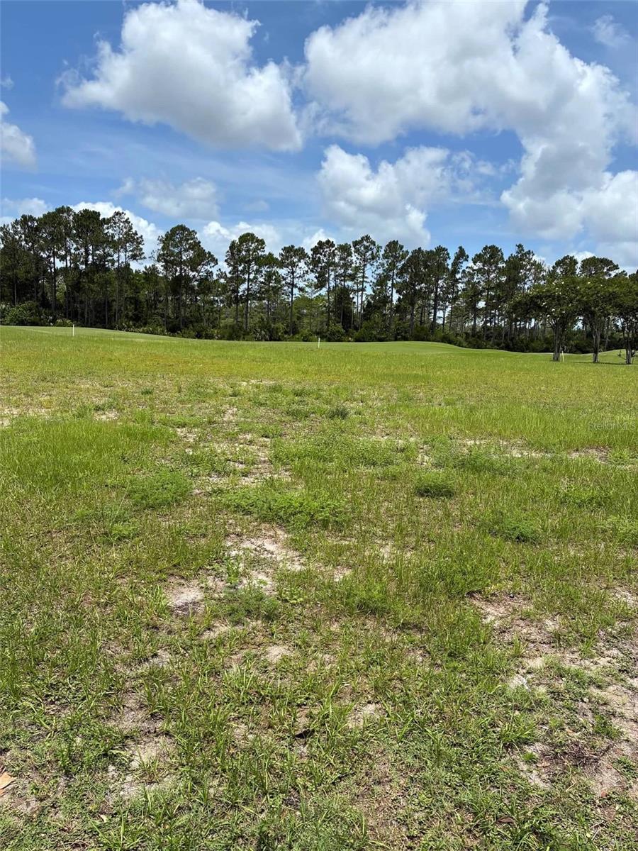 CONSERVATORY HAMMOCK BEACH - Land