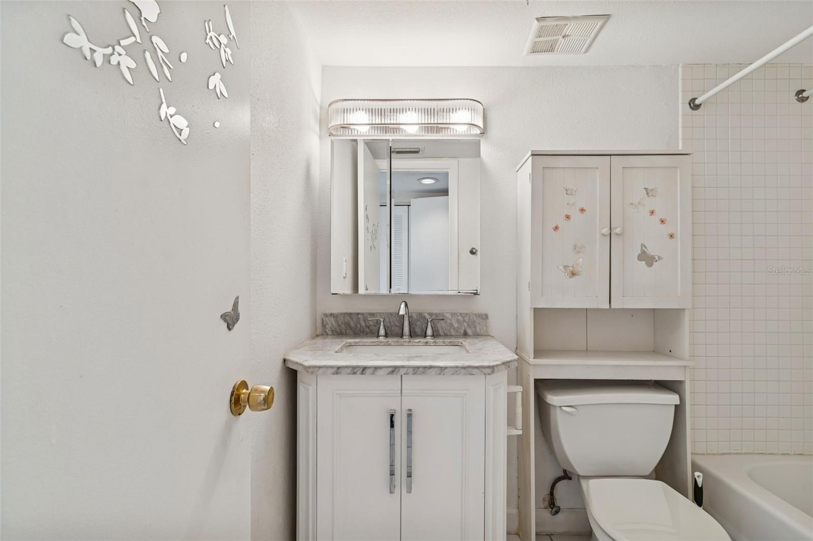 VILLAGE LAKE - Residential