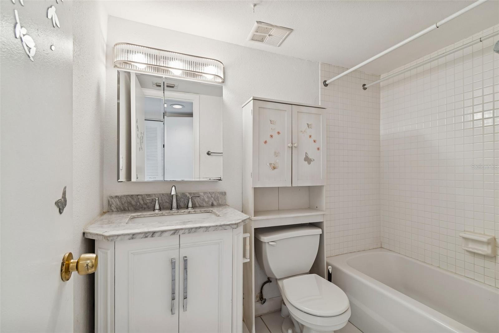 VILLAGE LAKE - Residential