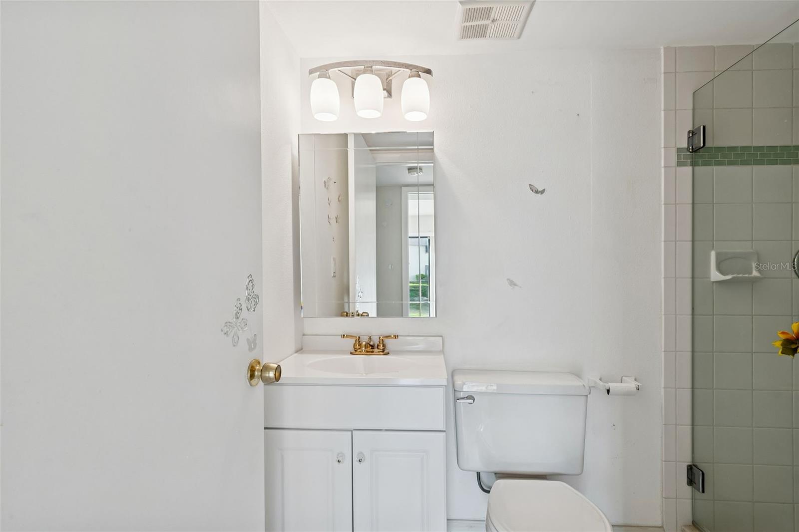 VILLAGE LAKE - Residential