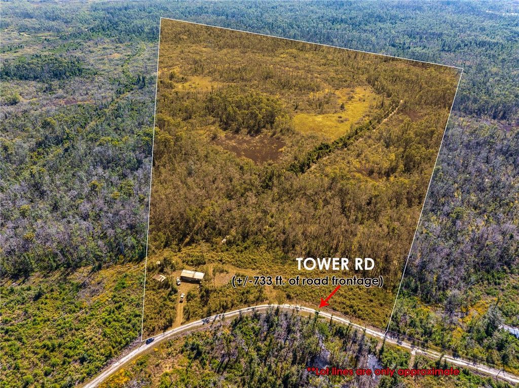 Photo of 8970 SW Tower Road, Madison, FL 32340 (MLS # C7516650)