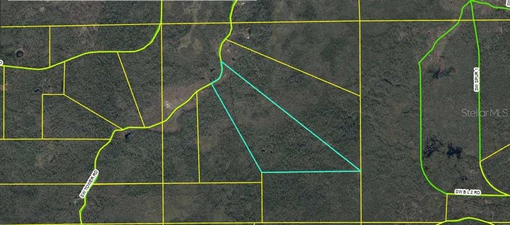 Photo of 8970 SW Tower Road, Madison, FL 32340 (MLS # C7516650)